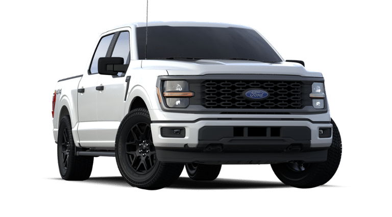 2024 Ford F-150 Vehicle Photo in Terrell, TX 75160